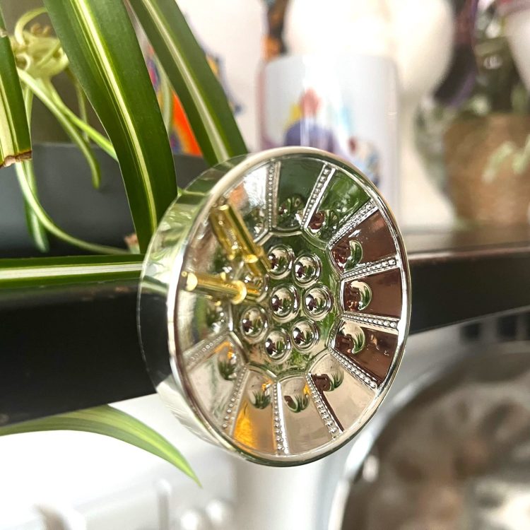 Steel Pan lead tenor package CultureMix Arts